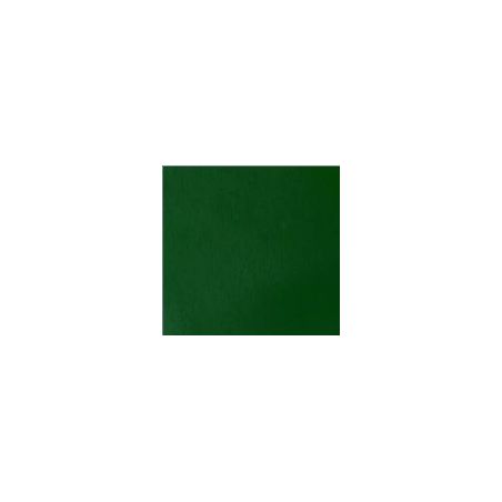 VERT FONCE PERMANENT 
