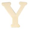 Y 