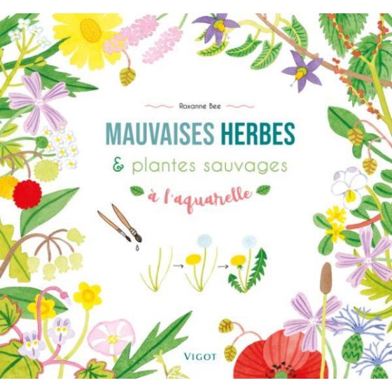 Plantes sauvages à l'aquarelle Vigot édition Color'i
