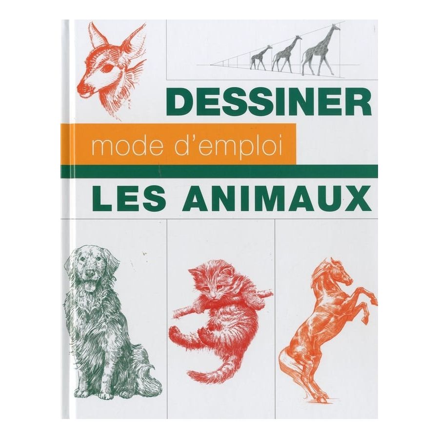 Dessiner les animaux Vigot édition Color'i Dessiner les animaux Vigot édition Color'i