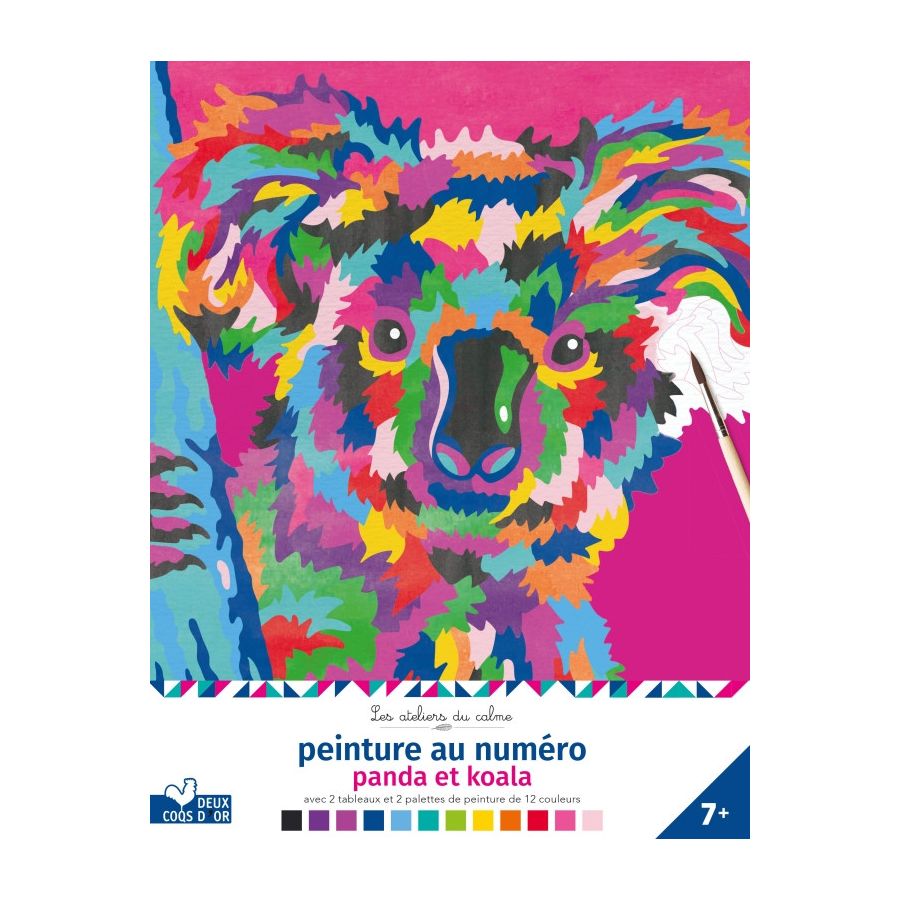 Peinture au numero Hachette Color'i