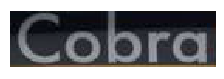 COBRA